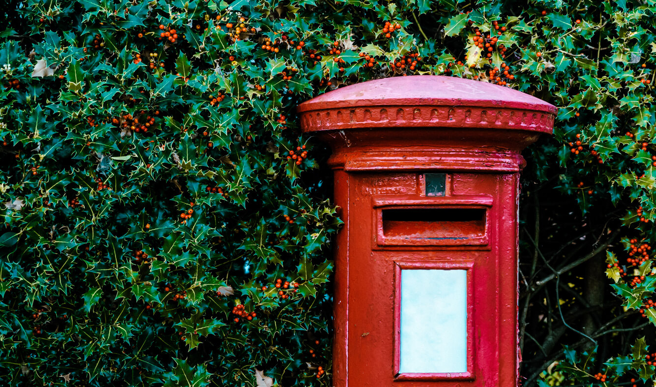 A British Red Post Box in front of a holly hedge row stock photo